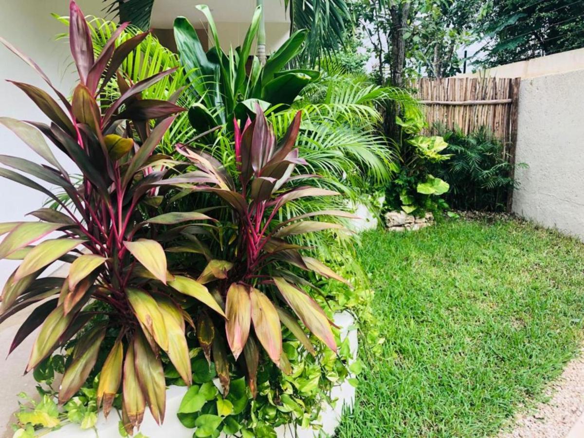 Casa Leo Apartman Tulum Kültér fotó